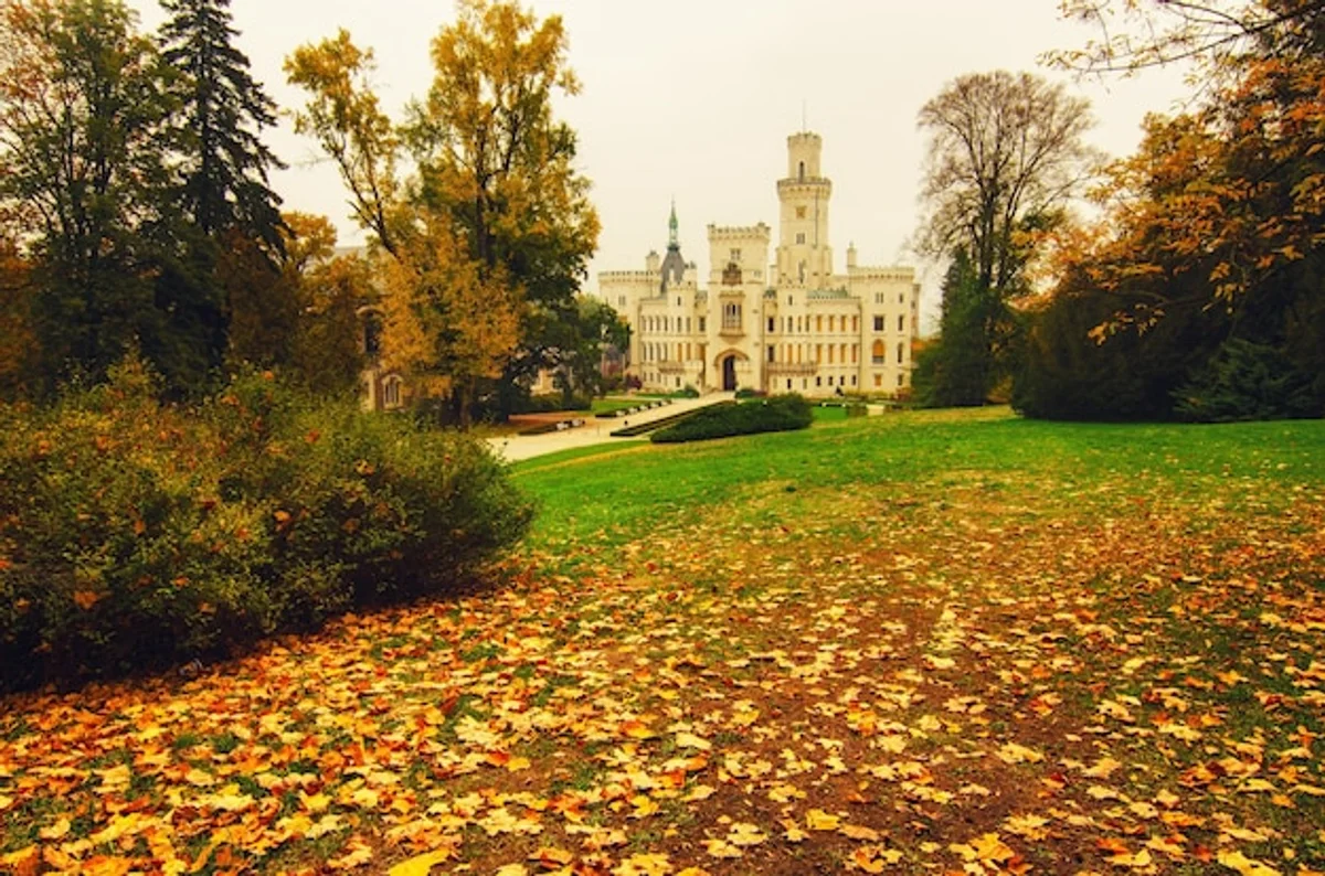 Czech business networking event autumn