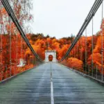 autumn office routine simple career growth Czech professional