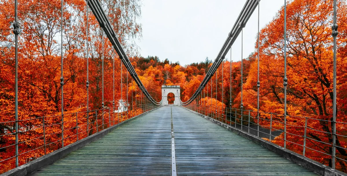 autumn office routine simple career growth Czech professional