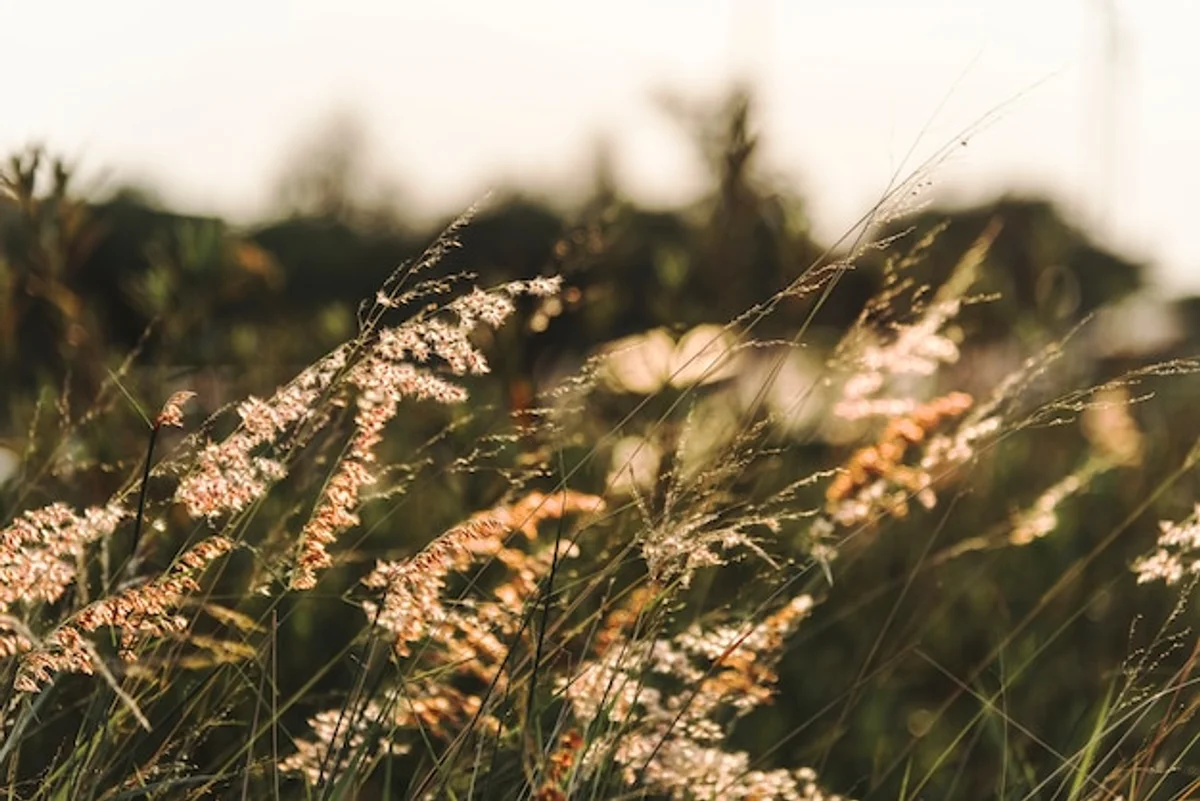 relaxing day off self care autumn nature Czech Republic