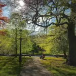 autumn garden preparation czech republic