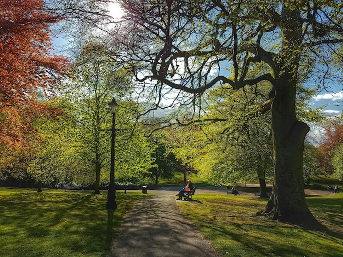 autumn garden preparation czech republic