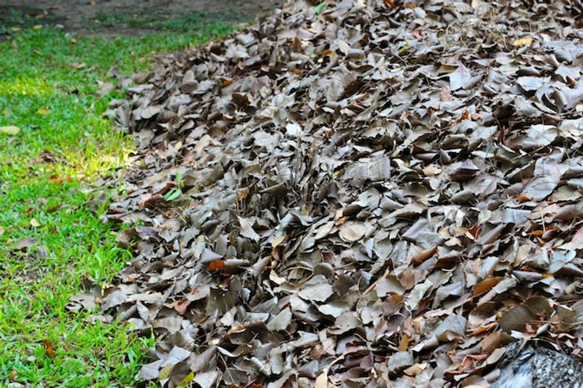 herbs compost autumn leaves organic