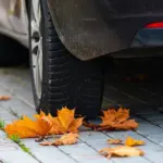 danger autumn wet leaves road car