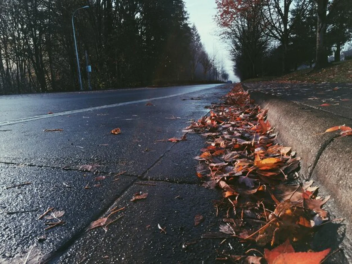 close up wheel braking autumn wet leaves road