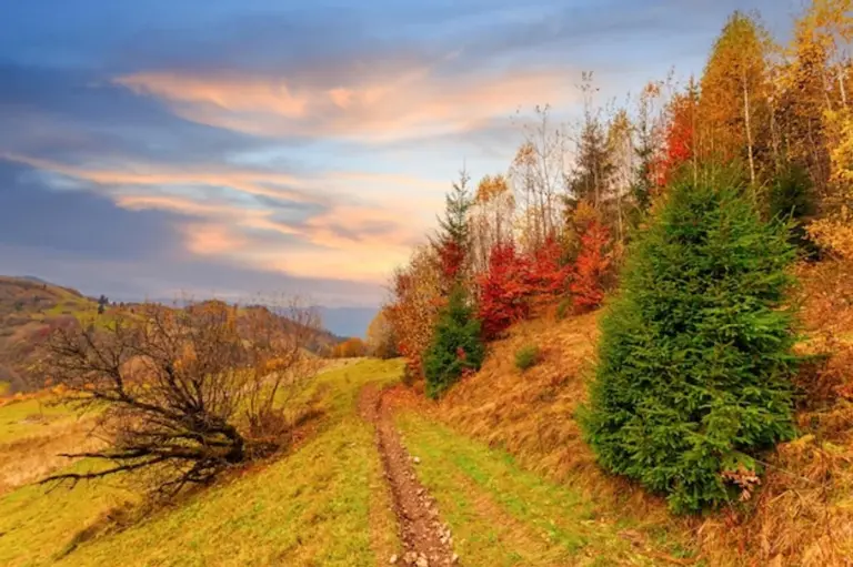 vibrant autumn czech mountains hiking