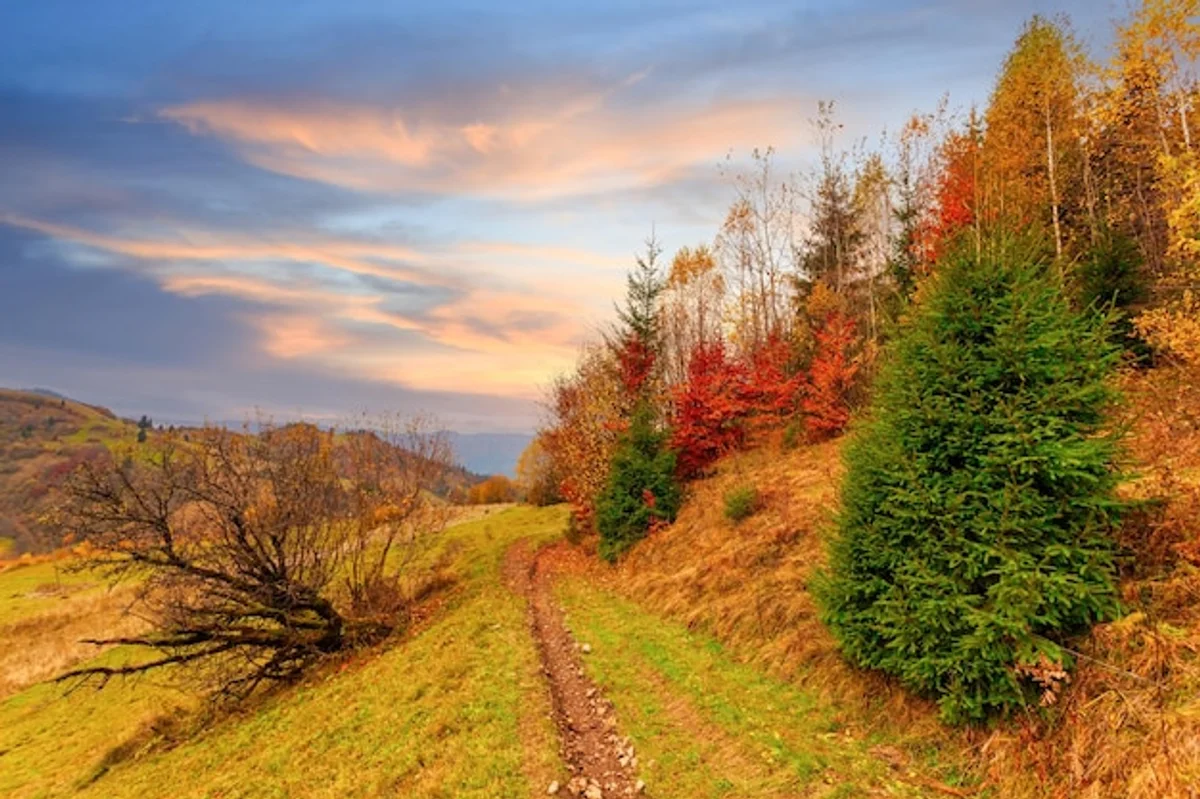 vibrant autumn czech mountains hiking