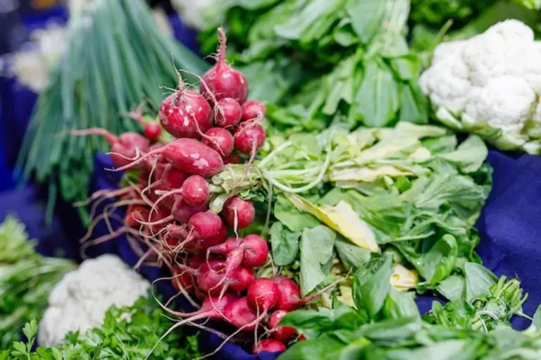 Czech farmers market fresh produce