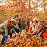 immune system autumn boost healthy lifestyle Czech republic