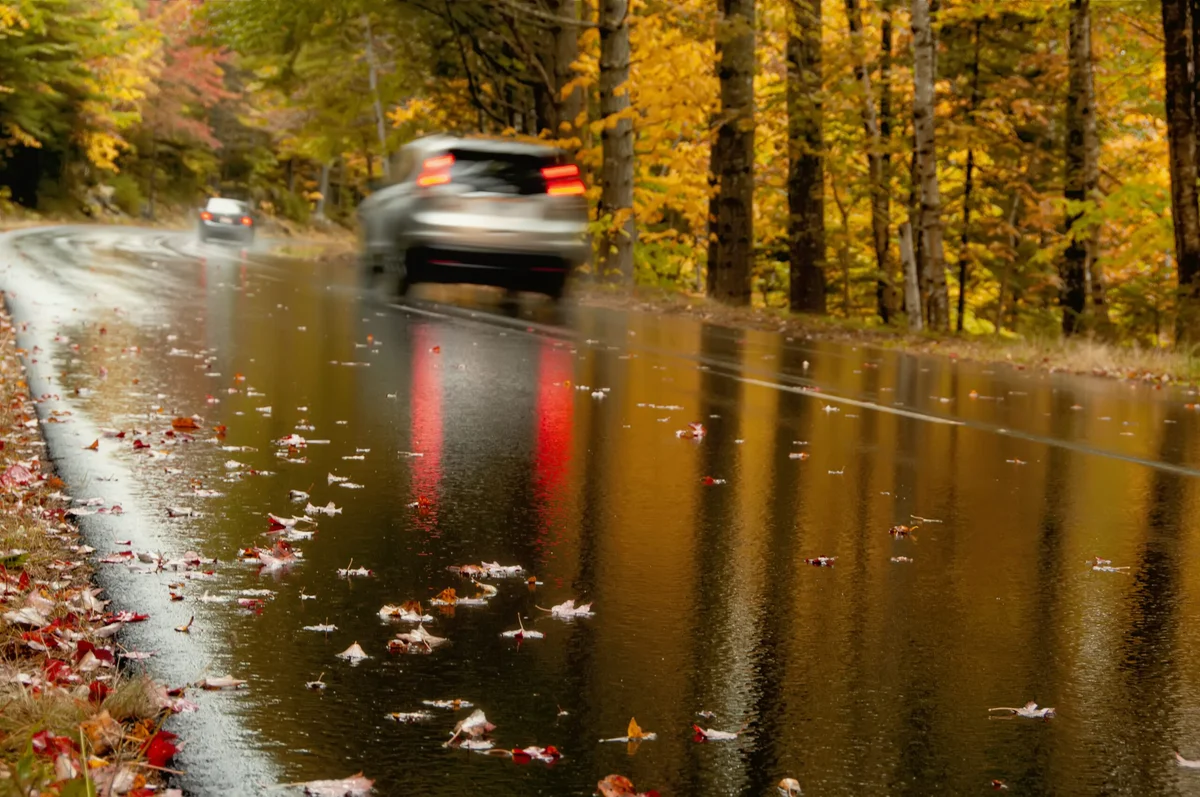 dangerous wet czech road autumn car rain