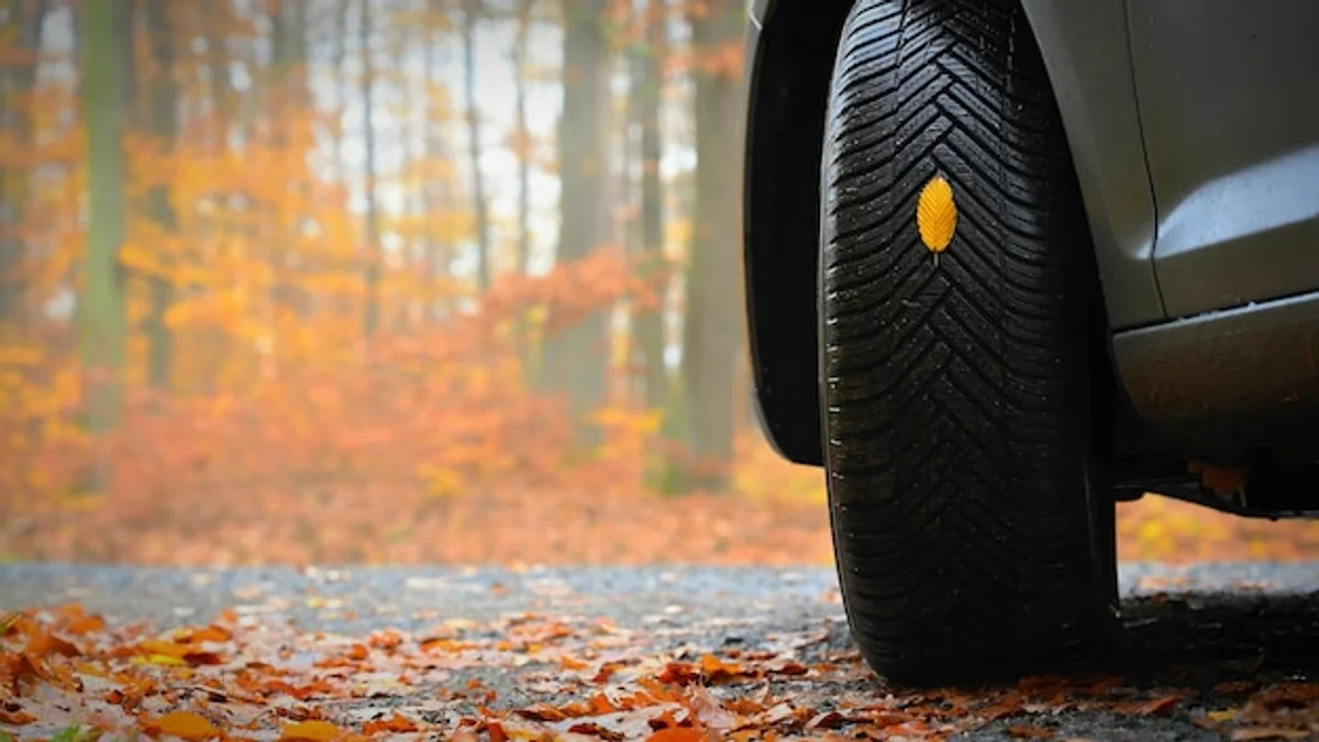 autumn leaves road car tire danger
