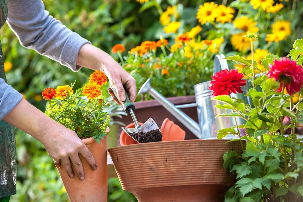 saving money garden czech spring summer tips