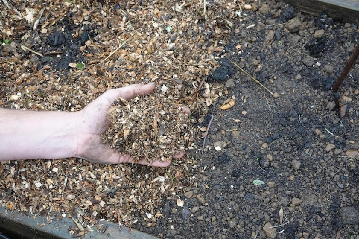 mulching vegetable garden natural materials