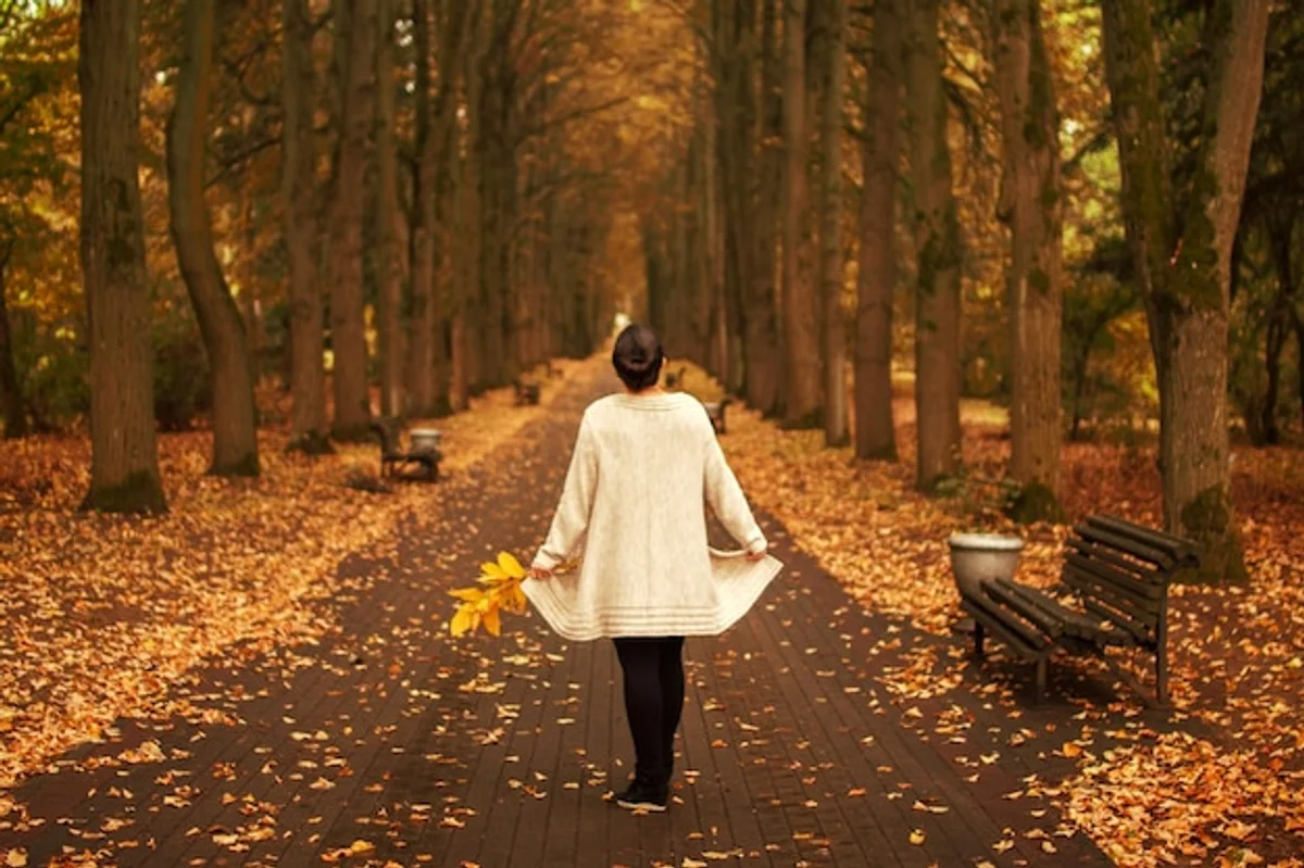 Czech couple autumn umbrella walk park