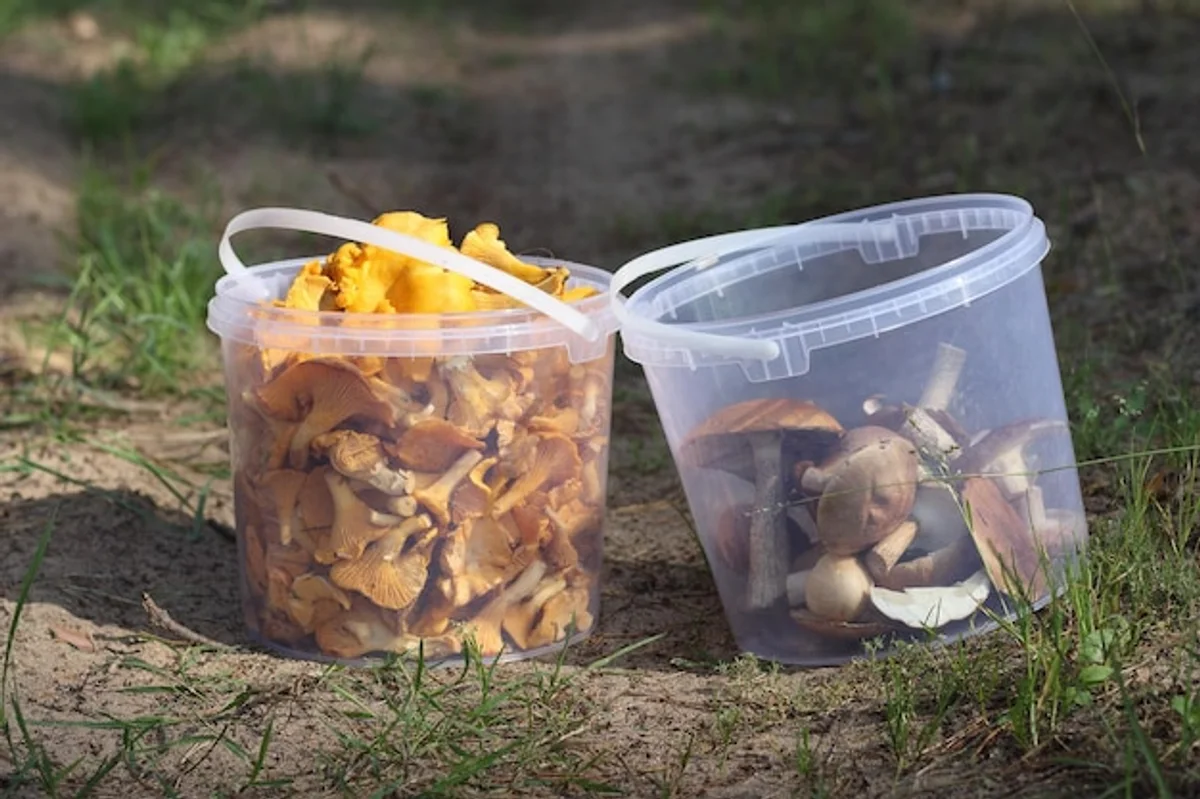 compost gardening autumn czech