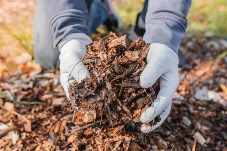 autumn leaves garden mulching compost Czech