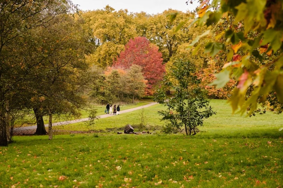 autumn leaves clearing garden Czech republic