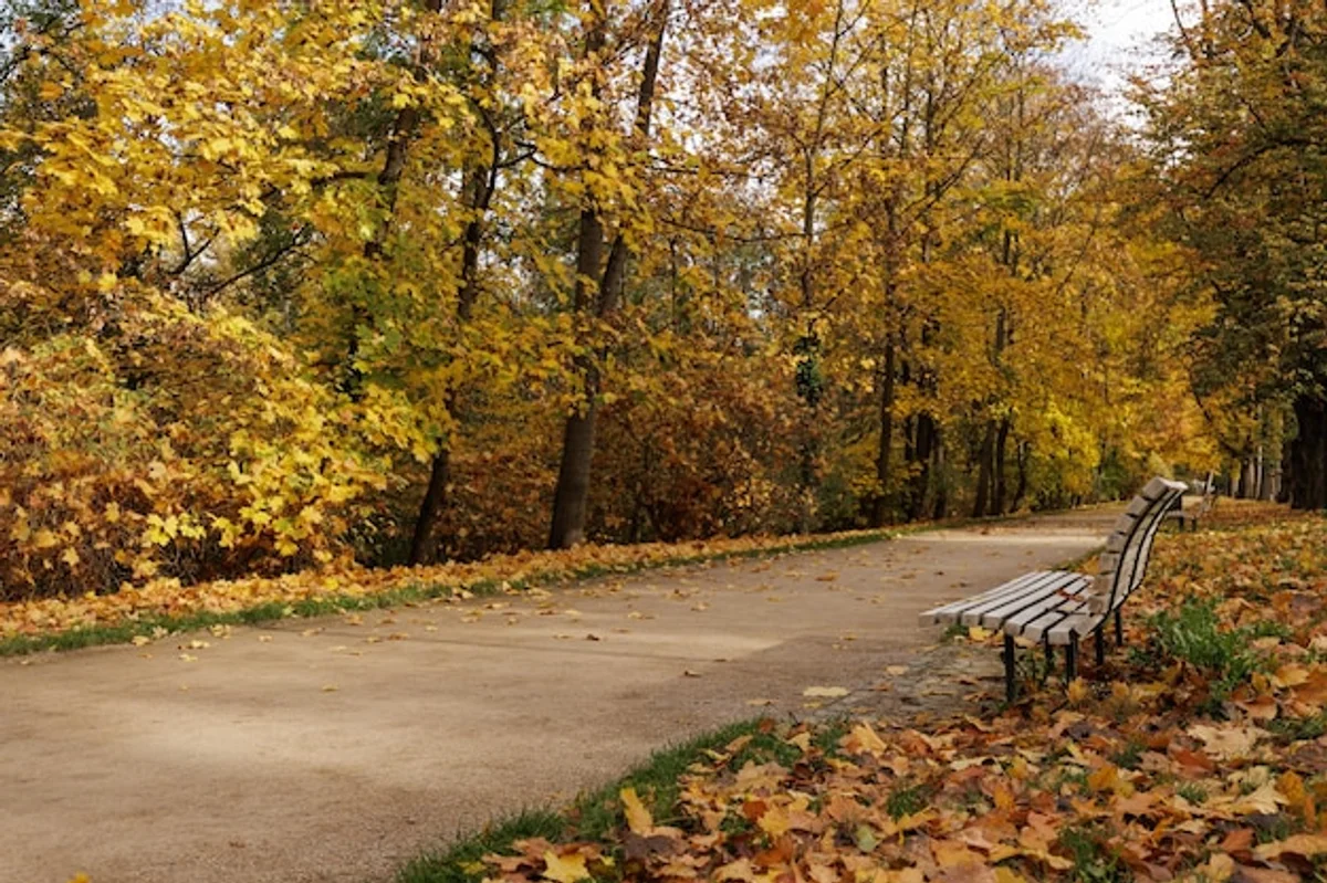 autumn portrait photography park Prague