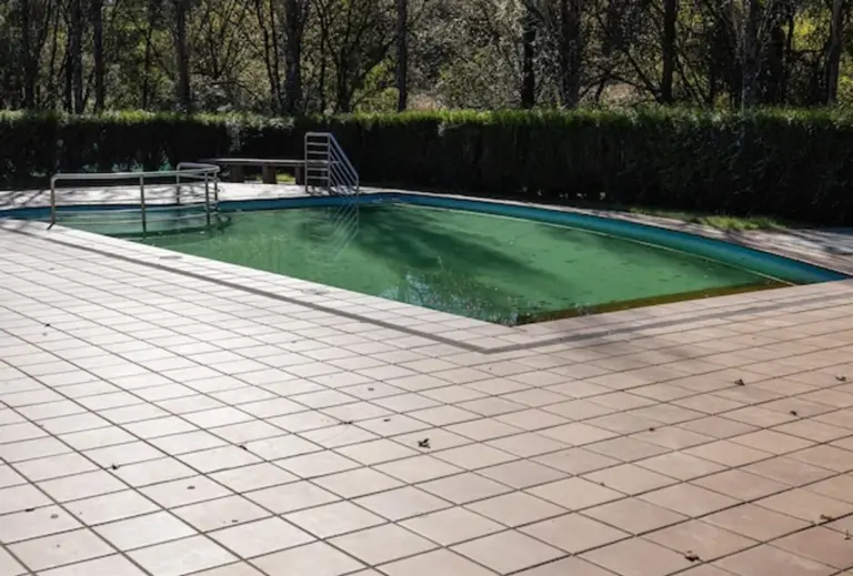 autumn garden maintenance czech