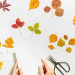 preserved autumn leaves art supplies flat lay