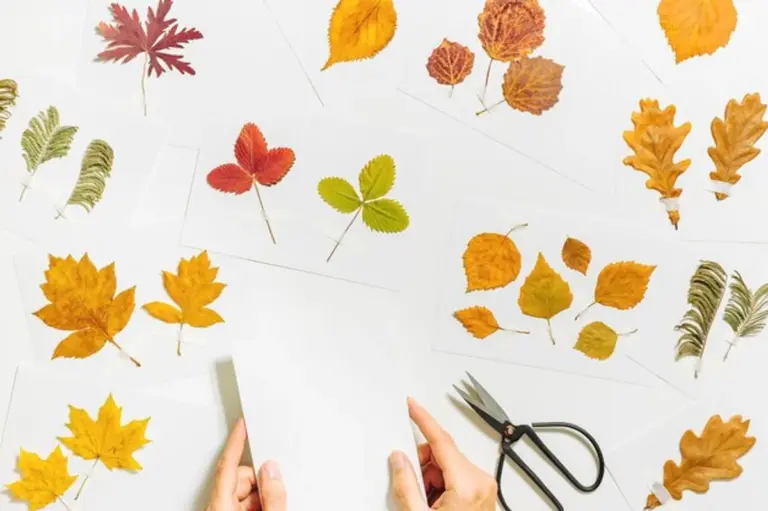 preserved autumn leaves art supplies flat lay