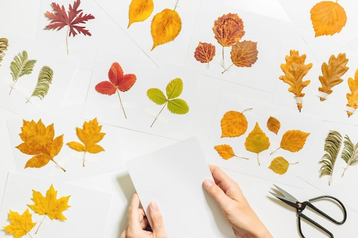 preserved autumn leaves closeup flat lay art supplies