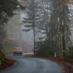 foggy autumn road czech republic stress driving car