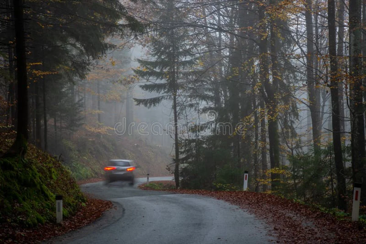 foggy autumn road czech republic stress driving car