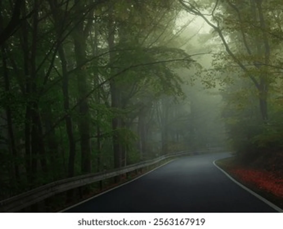 czech autumn road foggy nervous driver