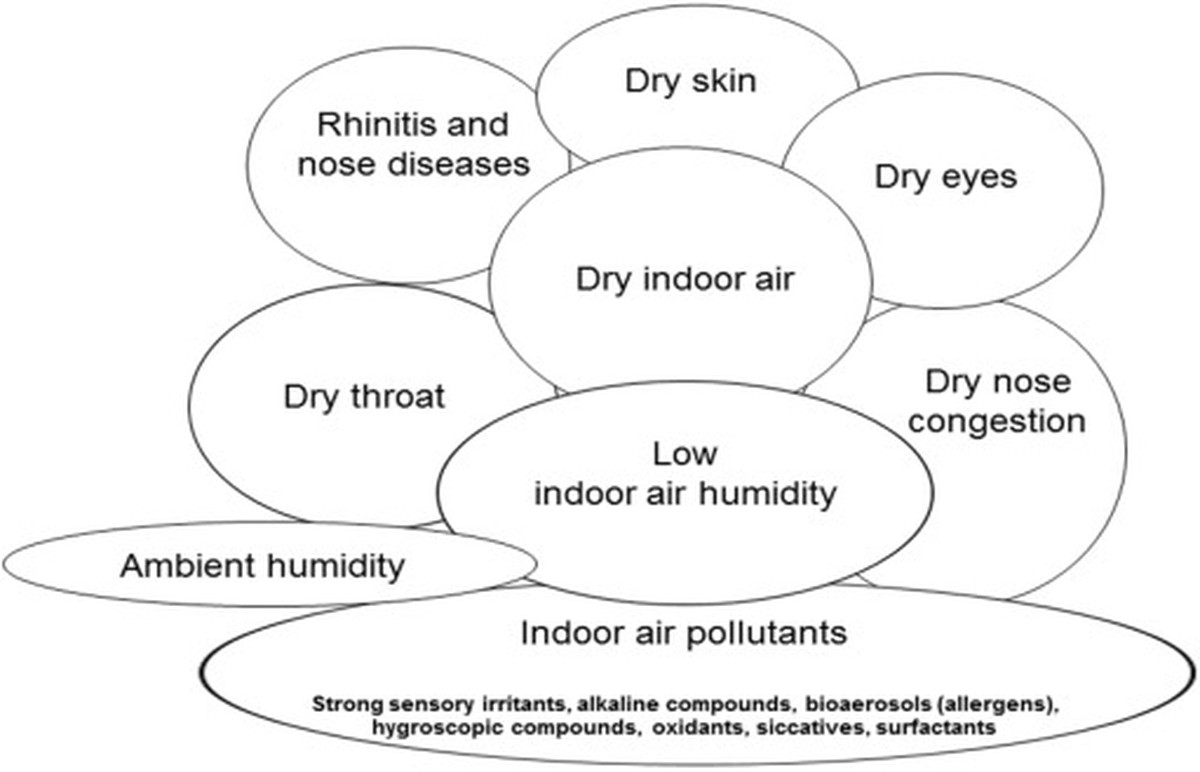 Babička to věděla: vlož papír za radiátor a vzduch bude suchý - image 1