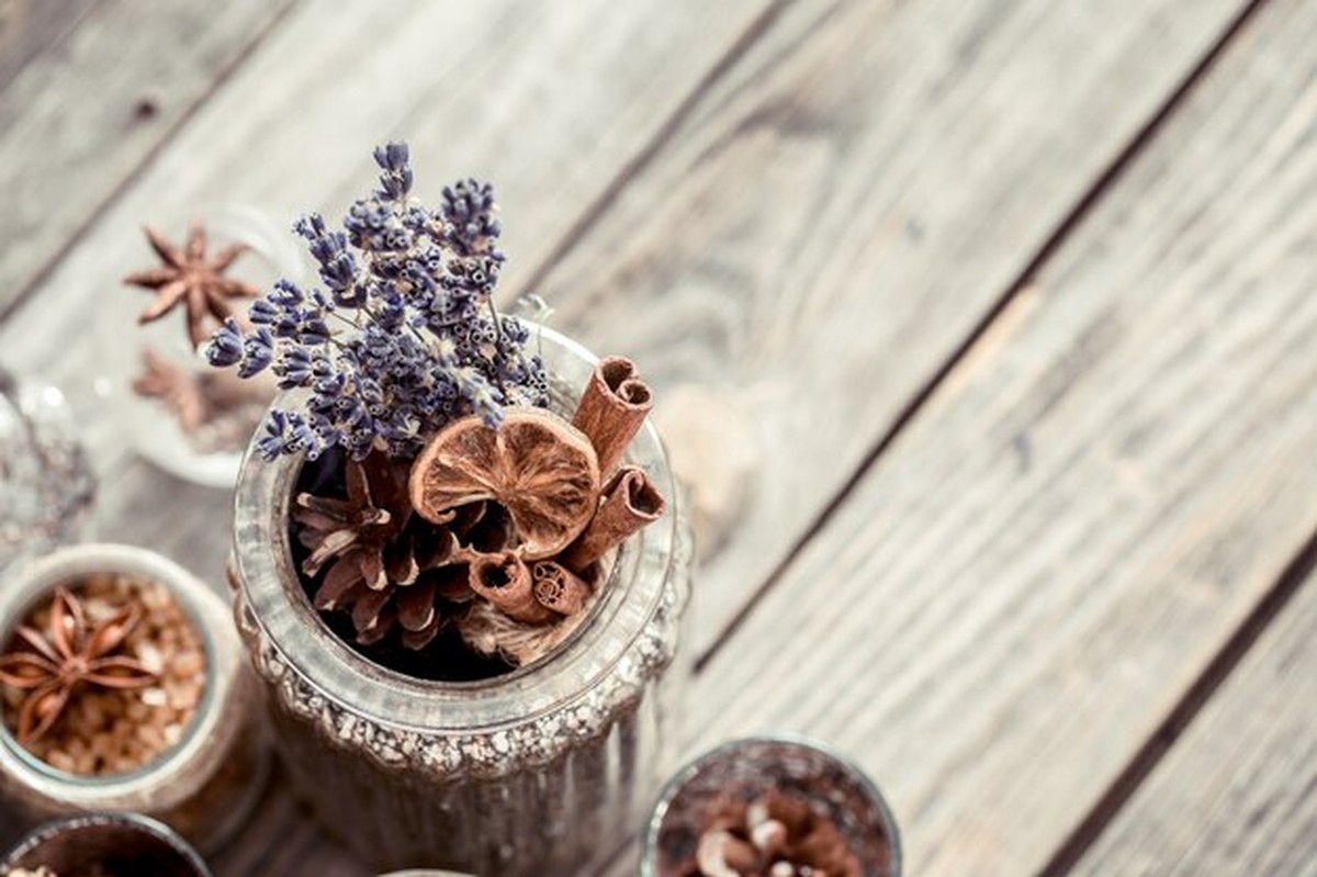 Byliny na balkoně v prosinci: co si ještě stihneš zasadit - image 1