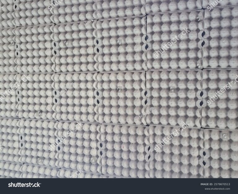 Krabice od vajec na zeď: Geniální zvuková izolace za pár korun