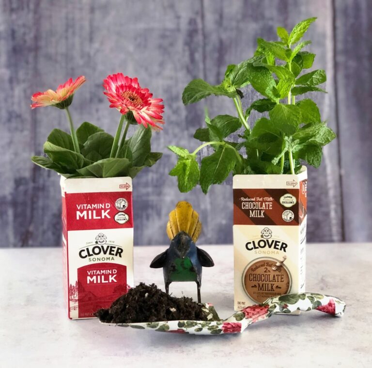 Přední strana kartónu od mléka jako savá podložka pro květináče