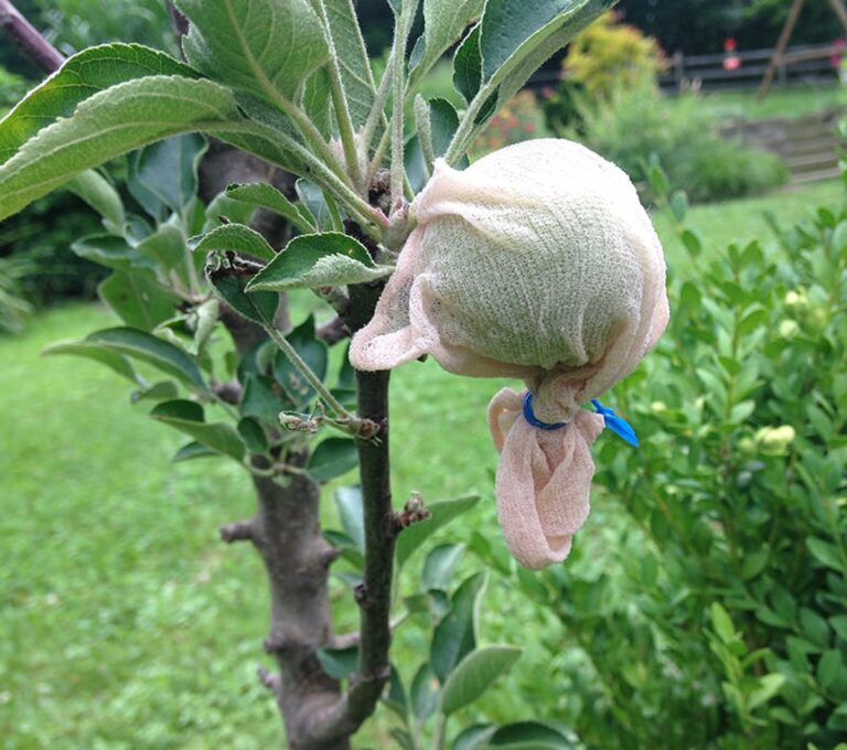 Staré punčochy jako ideální náplň do květináčů s díry