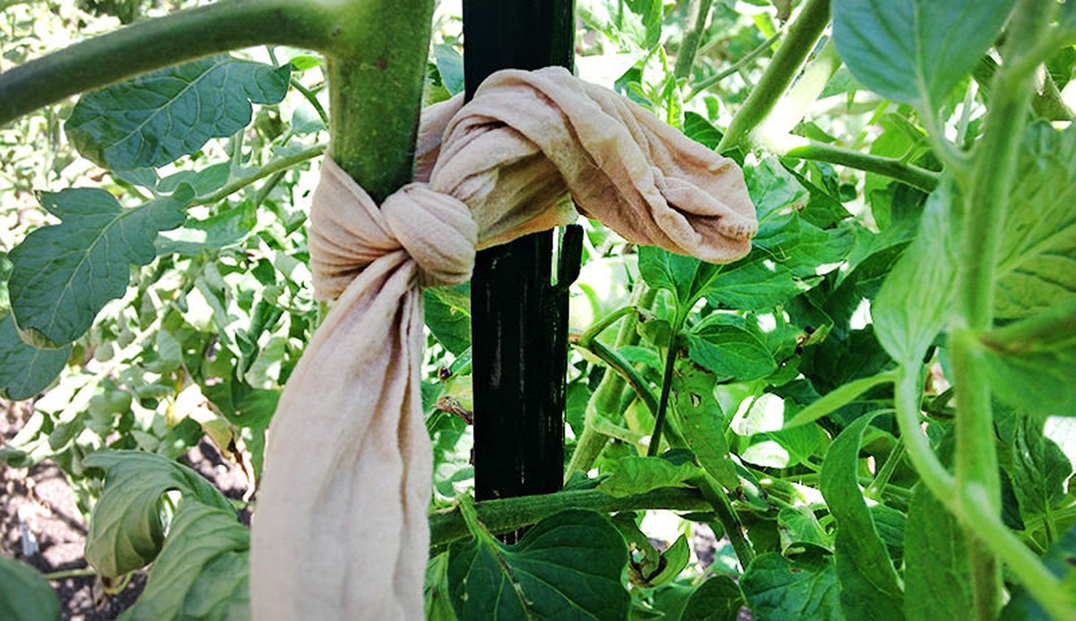 Staré punčochy jako ideální náplň do květináčů s díry - image 2