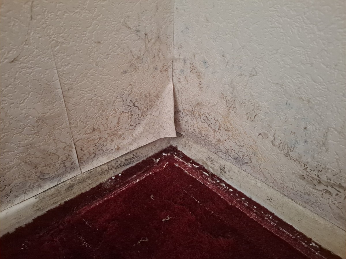 Starý ponožka jako savý zázrak na vlhkost v rozích pokoje - image 2