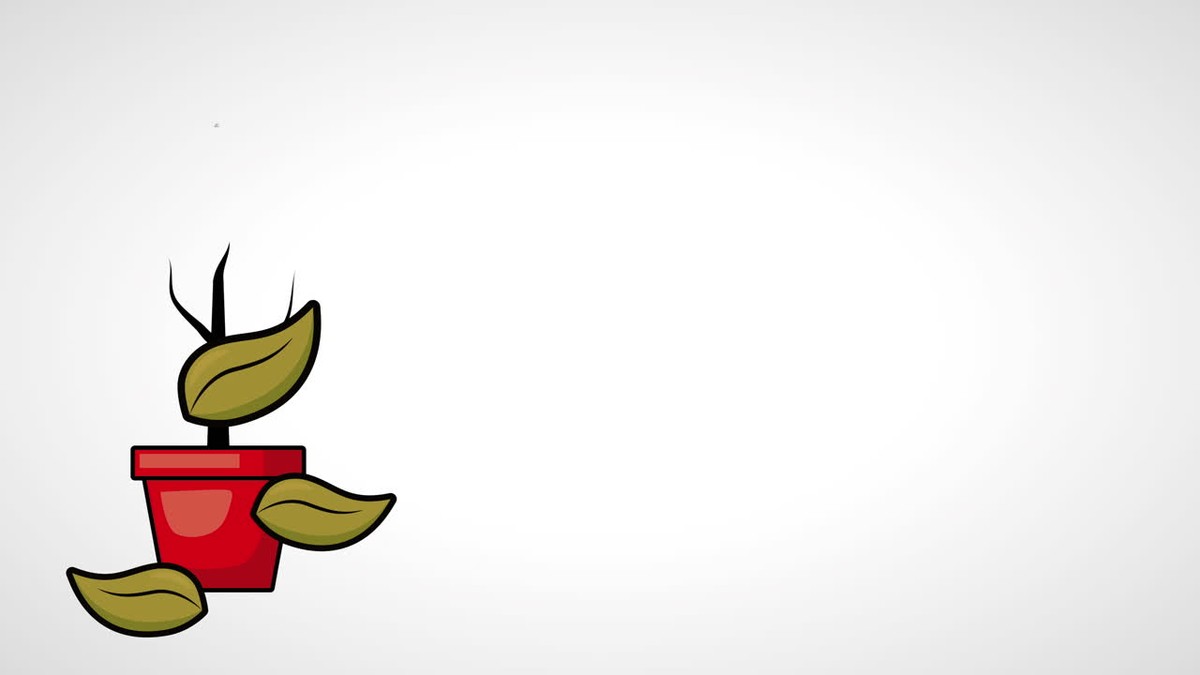 Vaše rostliny umírají - ale stačí znát jednu věc navíc