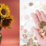 Vnoření mince do vázy odhalí tajemství dlouhověkosti květin