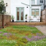 Zahradníci prozradili: kterou trávu sít, aby vám vydržela bez intenzivní péče