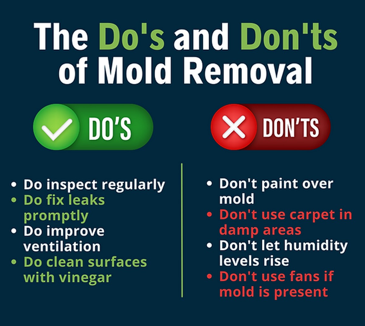 Cibule za zrcadlo v koupelně? Trik, který zachrání vaši kůži před plísní - image 1