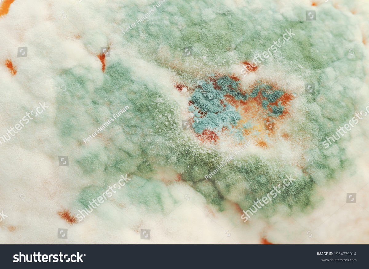 Citrónová slupka v práčce zabíjí plísně a vůně zůstane svatá - image 1