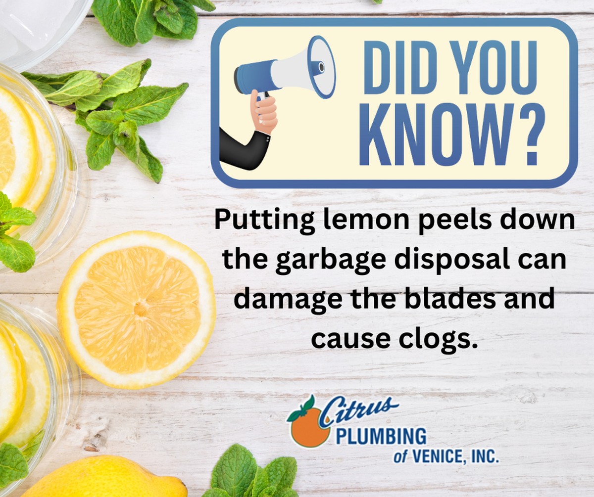 Citrónové slupky v kanále: zapomenuté řešení pachů, které děsí instalatéry - image 1