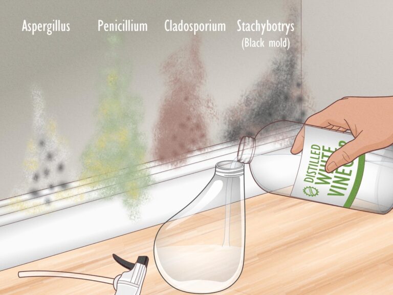 Ocet do skleničky v ložnici: jak se zbavit plísní jednoduše