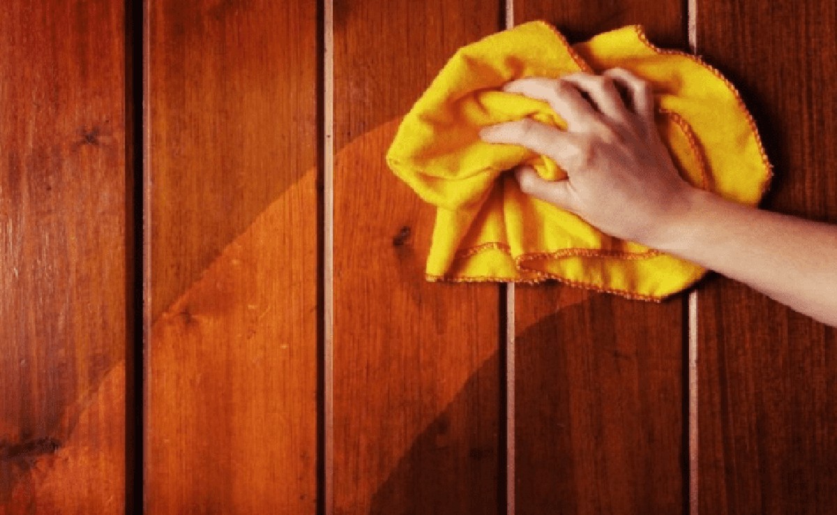 Papírový ručník pod květináče: geniální způsob, jak chránit nábytek - image 2