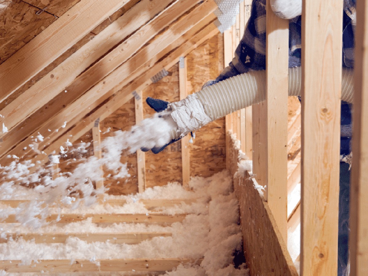 Použitý kávový filtr na půdě? Zbavte se vlhkosti bez chemie - image 1