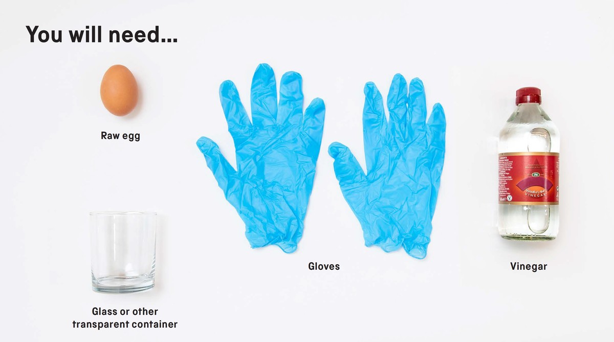 Vejce ve studené vodě s octem se louperou samy – starobylý trik, který funguje - image 1