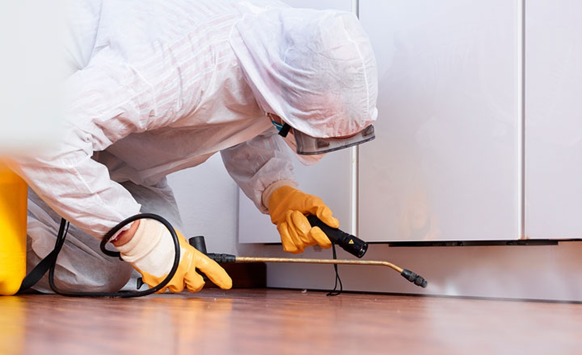 Bobkový list do mouky: 100letý trik proti molům a škůdcům - image 2