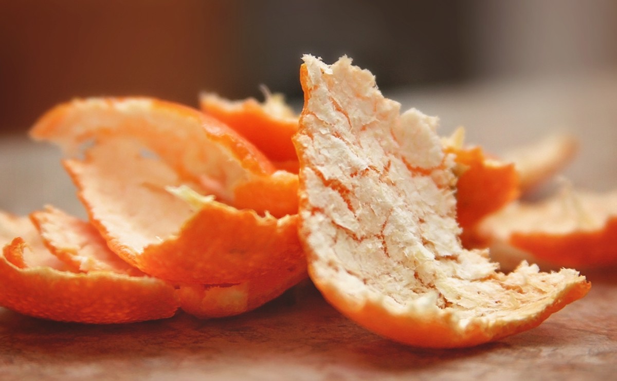 Citronová kůra v odpadkách: přírodní roztok na měkkého hmyz - image 1