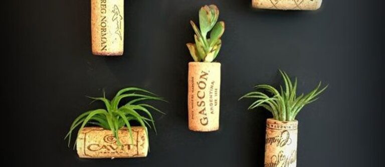 Korek v květináči: malá změna s obrovským efektem na zavlažování