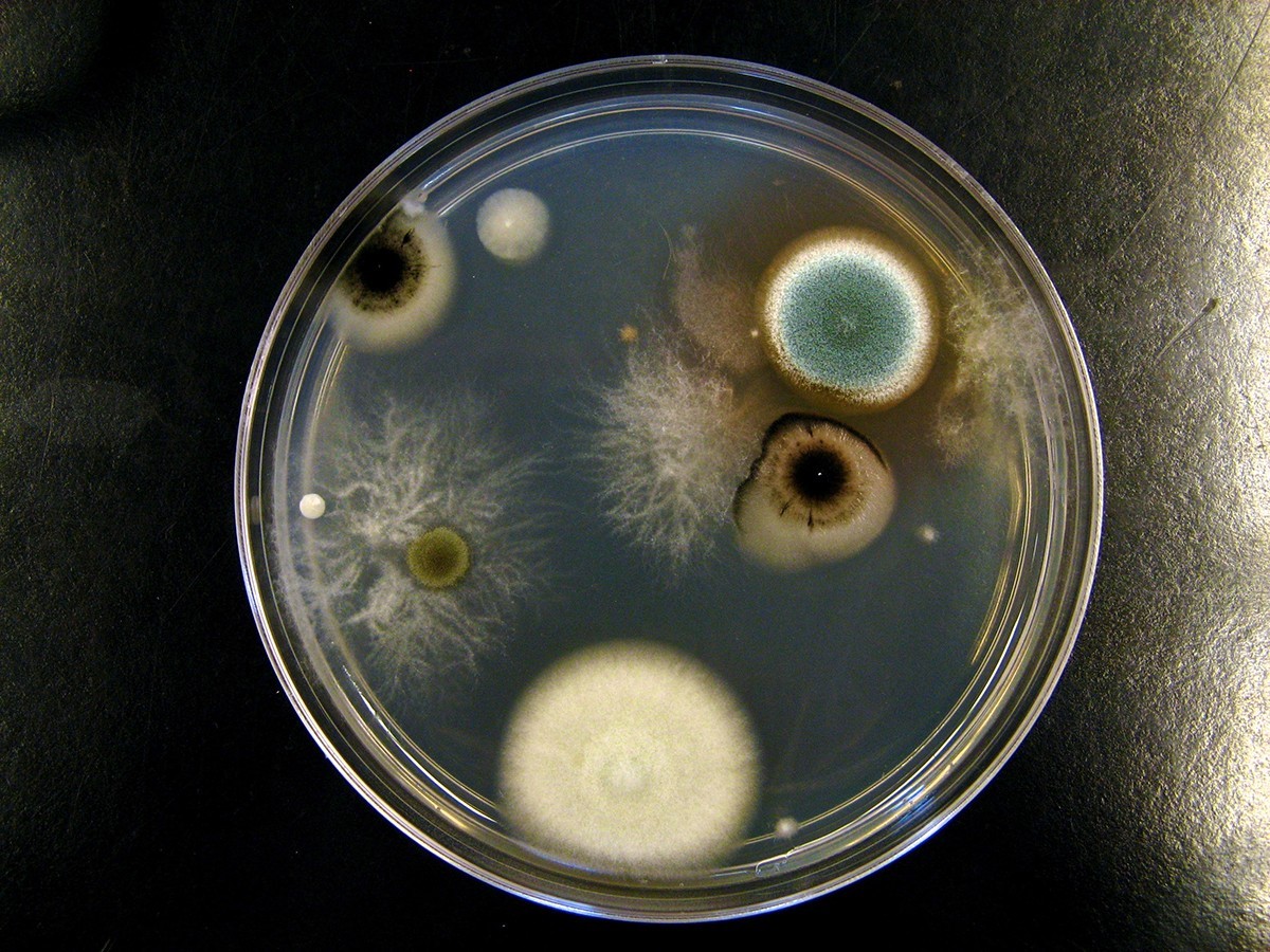 Kuchyňská sůl v obývacím pokoji vám ušetří tisíce korun - image 2